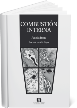 portada combustión interna