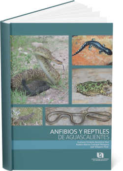 portada anfibios y reptiles
