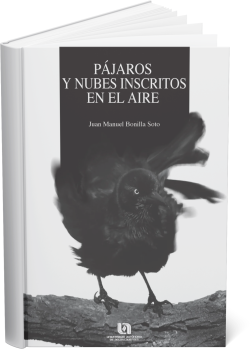 portada pájaros y nubes inscritos en el aire